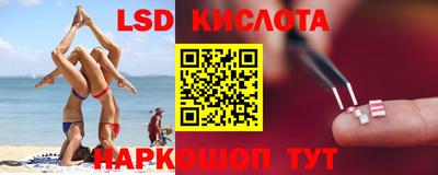 гидра Дмитров