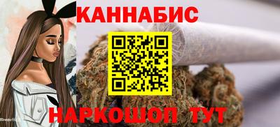 гидра Дмитров