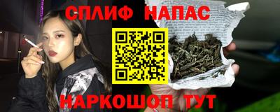 гидра Дмитров