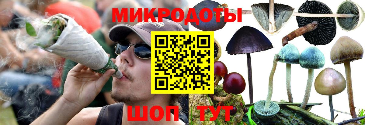 Псилоцибиновые грибы прущие грибы  Псилоцибиновые грибы ЛСД  Вход с VPN  Симферополь 